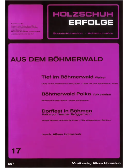 Holzschuh Erfolge, Band 17